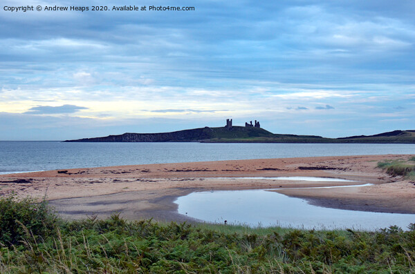 Dunstanburgh Castle from Embleton beach in the eve Picture Board by Andrew Heaps