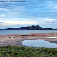 Buy canvas prints of Dunstanburgh Castle from Embleton beach in the eve by Andrew Heaps