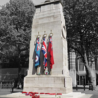 Buy canvas prints of Honouring Our Fallen Heroes by Andrew Heaps
