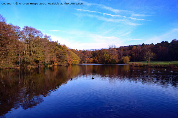 Biddulph Country Park Autumn colours Picture Board by Andrew Heaps
