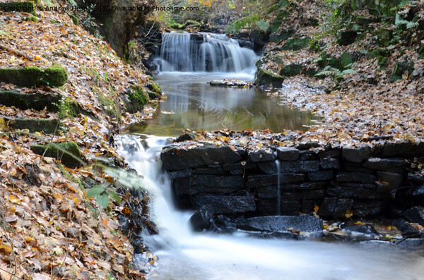 Autumn cascade of water with milky water Picture Board by Andrew Heaps
