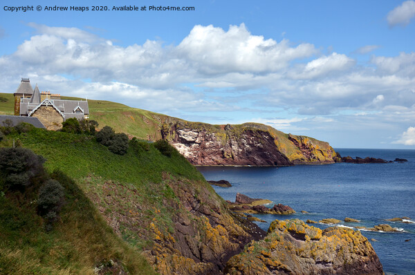 St Abbs coastal scene. Picture Board by Andrew Heaps