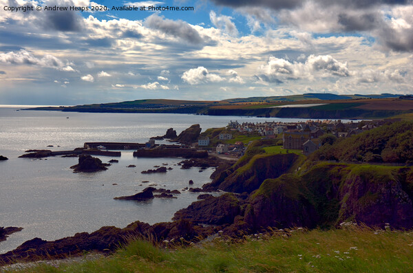 St Abbs coastal scene Picture Board by Andrew Heaps