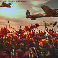 Buy canvas prints of Wartime flight over poppies Spitfire & Lancaster b by Andrew Heaps