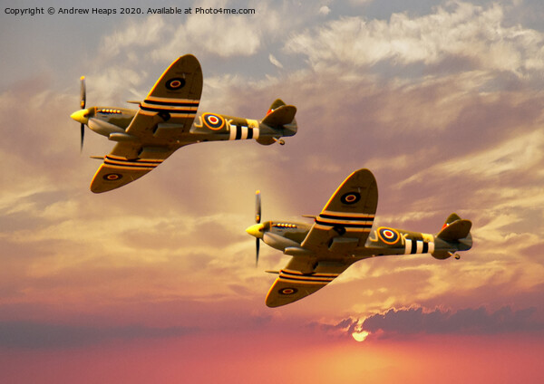 Spitfire planes historic Picture Board by Andrew Heaps