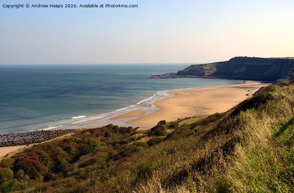 Cayton bay beach in Scarborough Picture Board by Andrew Heaps