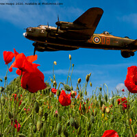 Buy canvas prints of Avro Lancaster bomber poppies by Andrew Heaps