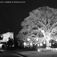 Buy canvas prints of Winter scene in black and white at Astbury by Andrew Heaps