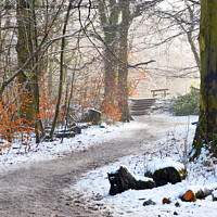 Buy canvas prints of Winter scene at Biddulph Country park by Andrew Heaps