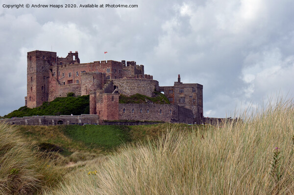 Bamburgh castle  Picture Board by Andrew Heaps