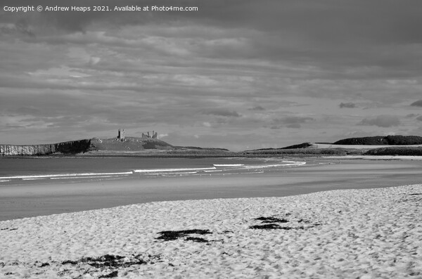 Northumberland beach scene from Embleton beach Picture Board by Andrew Heaps