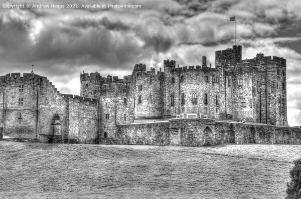Bamburgh Castle in Northumberland. Picture Board by Andrew Heaps