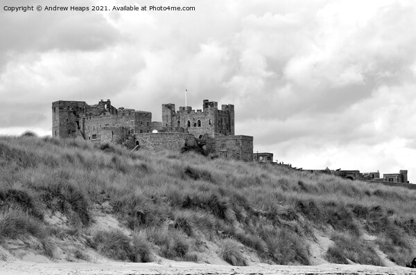 Bamburgh castle in Northumberland Picture Board by Andrew Heaps