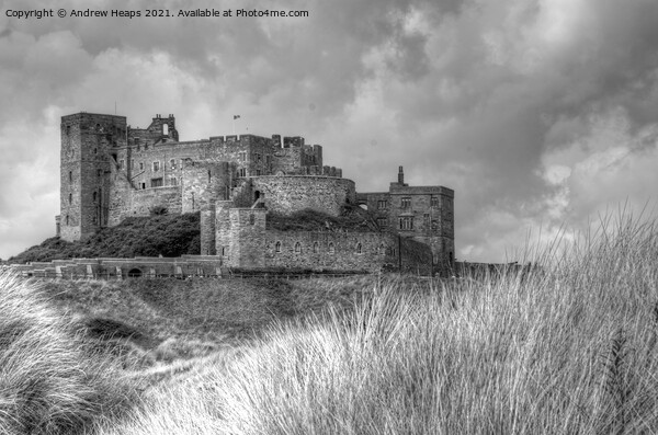 Bamburgh castle in HDR in Northumberland Picture Board by Andrew Heaps