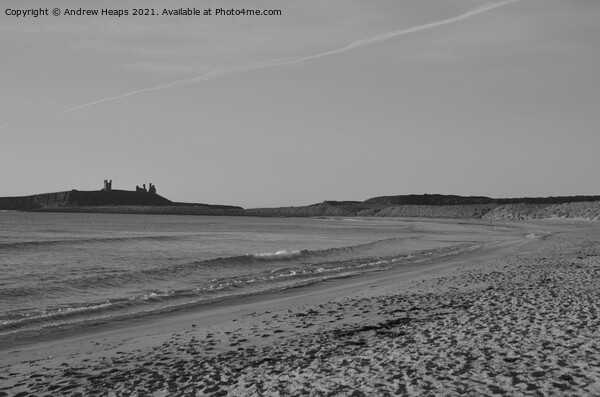 Evening sunset for Dunstanburgh castle Picture Board by Andrew Heaps