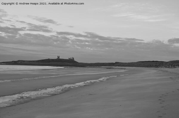 Majestic Sunrise at Dunstanburgh Castle Picture Board by Andrew Heaps