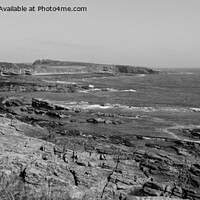 Buy canvas prints of Rocky coastal scene in Northumberland by Andrew Heaps