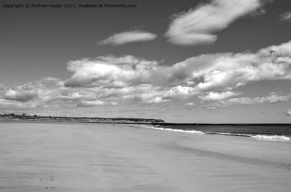Beach scene with cloudy sky in Northumberland  Picture Board by Andrew Heaps