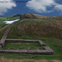 Buy canvas prints of Hadrians wall a historic landmark on a summers day by Andrew Heaps