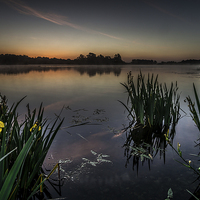 Buy canvas prints of  Misty Dawn by Simon Gray