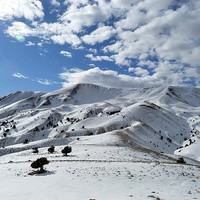 Buy canvas prints of  Winter beauty, by Ali asghar Mazinanian