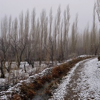 Buy canvas prints of  The first snow, by Ali asghar Mazinanian
