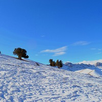 Buy canvas prints of  Walking on a place fully covered by winter sonw i by Ali asghar Mazinanian