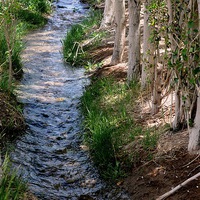 Buy canvas prints of A stream of clean water in the village, by Ali asghar Mazinanian