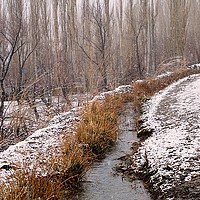 Buy canvas prints of A stream of fresh water in a garden. by Ali asghar Mazinanian
