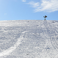 Buy canvas prints of A lone tree and snow  by Ali asghar Mazinanian