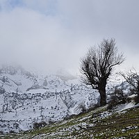 Buy canvas prints of On a snowy day, by Ali asghar Mazinanian