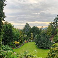 Buy canvas prints of A beautiful view of Queen Elizabeth Park, by Ali asghar Mazinanian