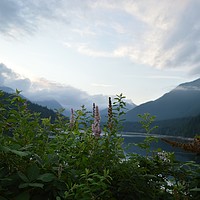 Buy canvas prints of A very nice place Taken at Cleveland Dam,Vancouver by Ali asghar Mazinanian