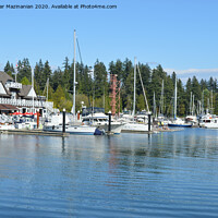 Buy canvas prints of Boats at Stanley Park, by Ali asghar Mazinanian