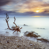 Buy canvas prints of  Hunstanton Driftwood by Simon Taylor