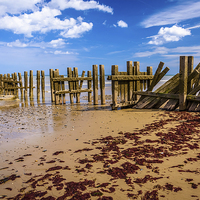 Buy canvas prints of  Trimingham beach North Norfolk by Simon Taylor