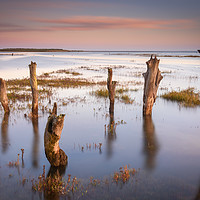Buy canvas prints of Thornham Stumps at high tide by Simon Taylor