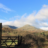 Buy canvas prints of  Coniston Old Man by Simon Hall