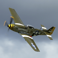 Buy canvas prints of  The P51D Mustang by Philip Catleugh