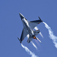 Buy canvas prints of  Belgian F16 Fighting Falcon by Philip Catleugh