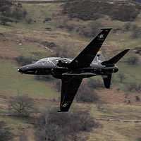 Buy canvas prints of Hawk T2 in Wales by Philip Catleugh