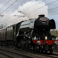 Buy canvas prints of The Flying Scotsman approaching Steeton Station in by Philip Catleugh