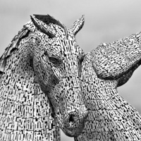 Buy canvas prints of The Kelpies by Mike Marsden