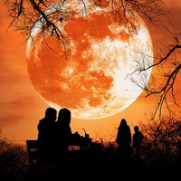 Buy canvas prints of Fantasy Moonlit Picnic by Mike Marsden