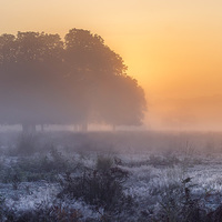 Buy canvas prints of  Misty morning! by Inguna Plume