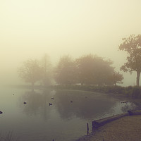 Buy canvas prints of Foggy day! by Inguna Plume