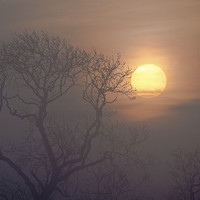 Buy canvas prints of  Misty Morn by Lee Wilson