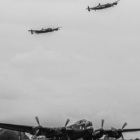 Buy canvas prints of  Three Lancasters by Lee Wilson