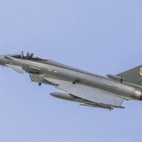 Buy canvas prints of  Royal Air Force Typhoon of N01 Squadron  by Lee Wilson