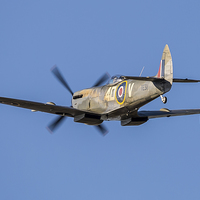 Buy canvas prints of BBMF Spitfire TE311 by Lee Wilson